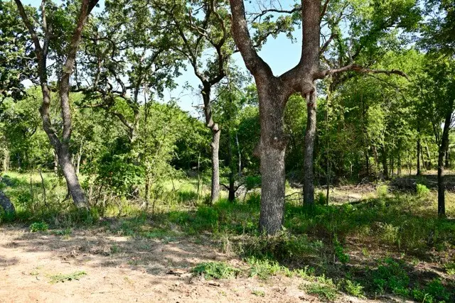 Lot 64 Camden Lane, Springtown, TX 76082 - Image #1