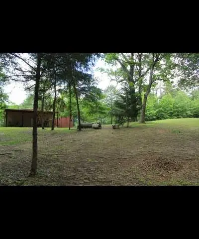 TBD County Road 3180, Winnsboro, TX 75494 - Image #1