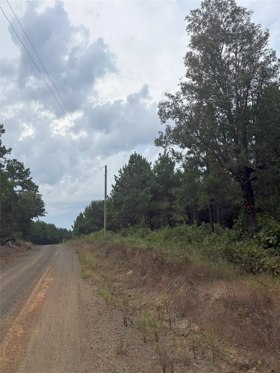 1388 County Road 1060, Center, TX 75935 - Image #2