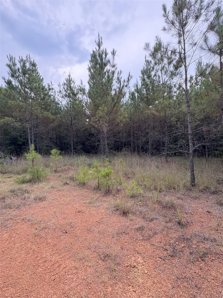 1388 County Road 1060, Center, TX 75935 - Image #3