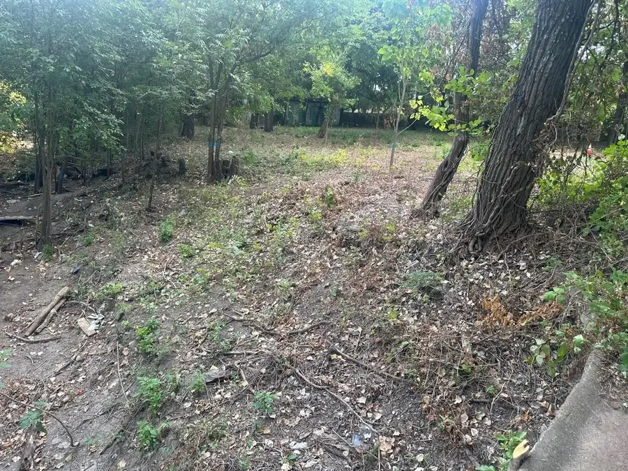 331 E Bear Creek Road, Glenn Heights, TX 75154 - Image #2