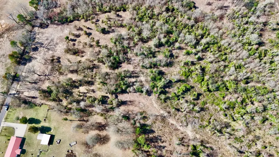 TBD County Road 3211, Pittsburg, TX 75686 - #2