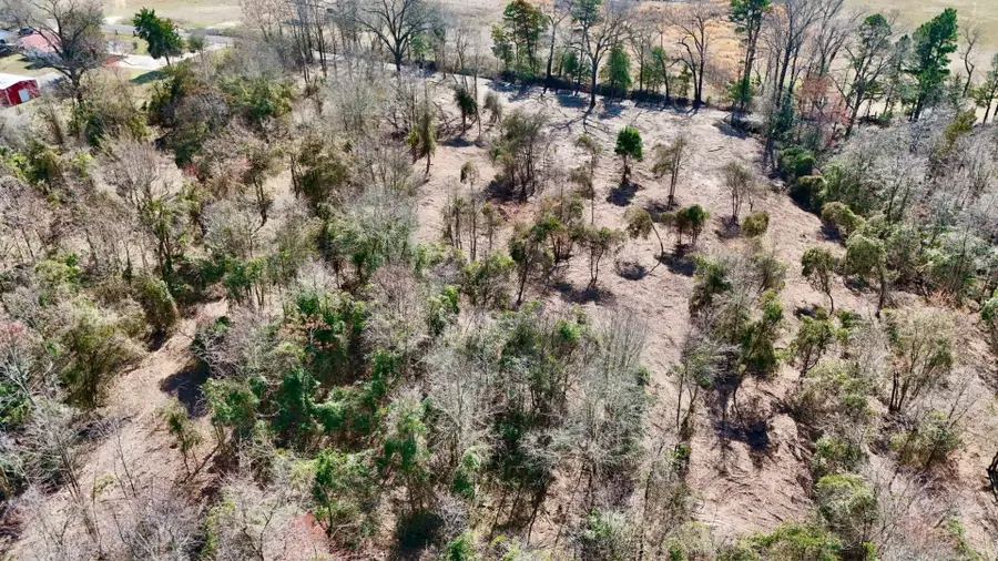 TBD County Road 3211, Pittsburg, TX 75686 - #3