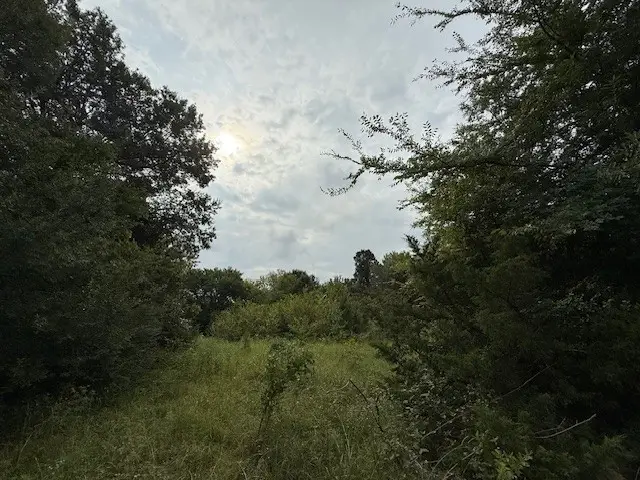 #3