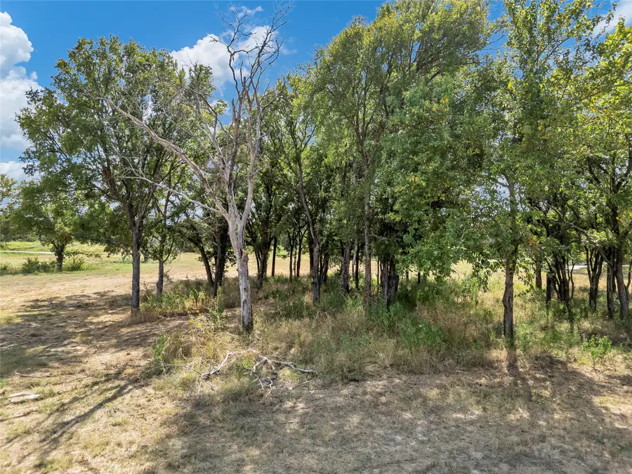 2061 Lindale Lane, Granbury, TX 76049 - #2