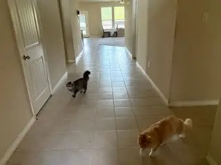 361 Amber Lane, Nevada, TX 75173 - Image #3