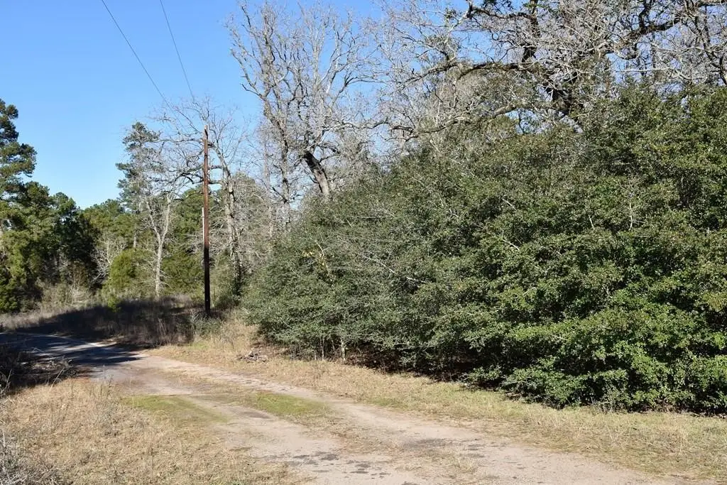 8900 Fm 229, Grapeland, TX 75844 - #1
