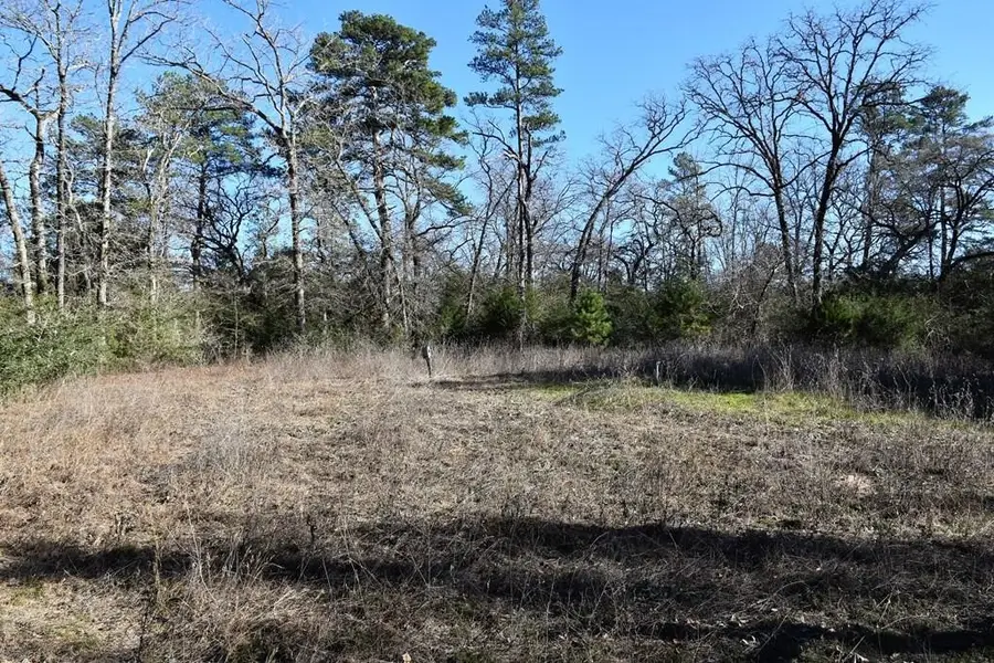 8900 Fm 229, Grapeland, TX 75844 - #2