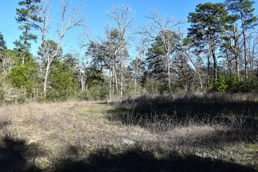 8900 Fm 229, Grapeland, TX 75844 - #3