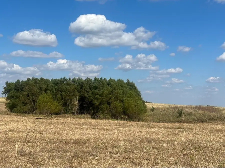 6148 County Road 302, Grandview, TX 76050 - Image #3