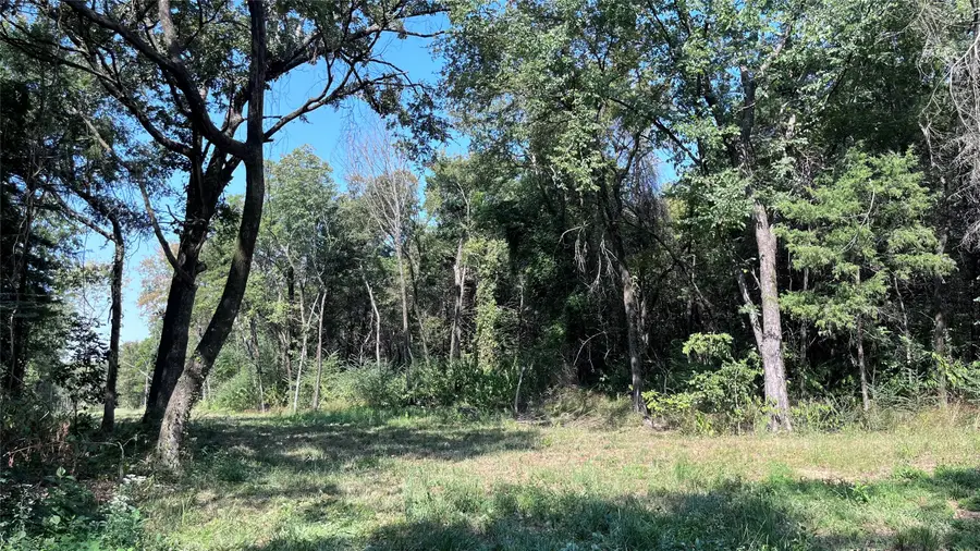 276 County Road 2470, Pickton, TX 75471 - Image #2