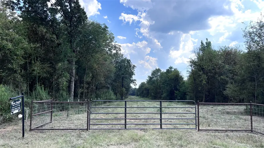 276 County Road 2470, Pickton, TX 75471 - Image #3