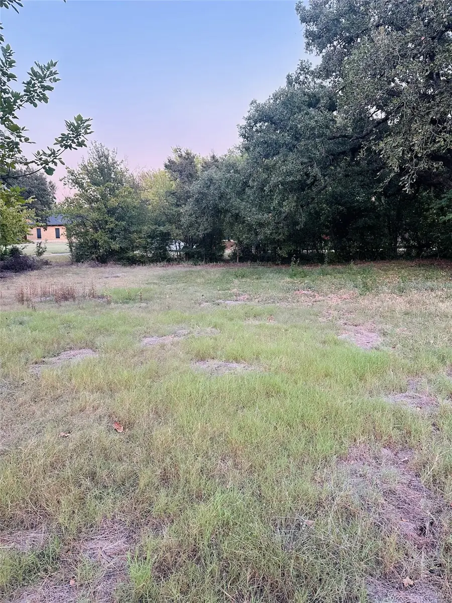 1414 Allegheny Drive, Arlington, TX 76012 - Image #3