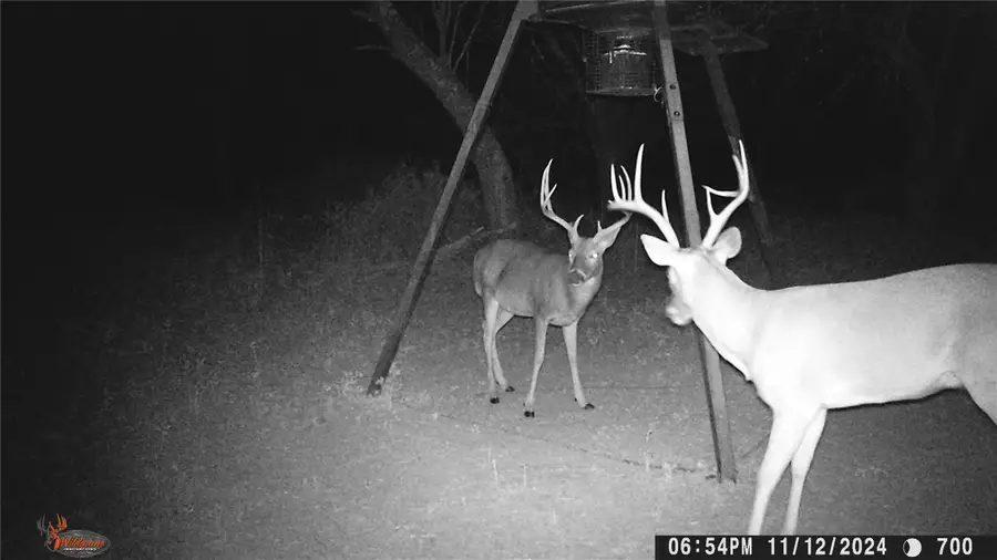 #3