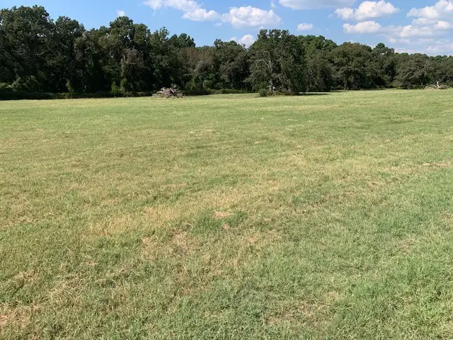 Lot 12 Cr 3605, Bullard, TX 75757 - Image #3