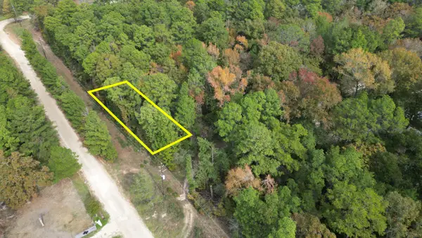 375 Rock Creek Drive, Trinity, TX 75862