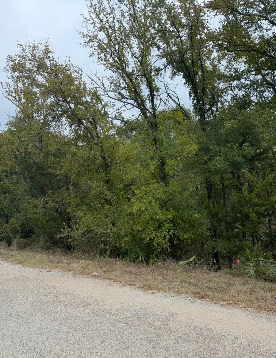 2509 White Oak Trail, Granbury, TX 76048 - Image #2