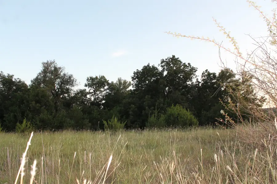 TBD County Road 147, Blanket, TX 76432 - Image #2