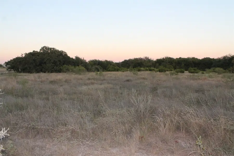 TBD County Road 147, Blanket, TX 76432 - Image #3