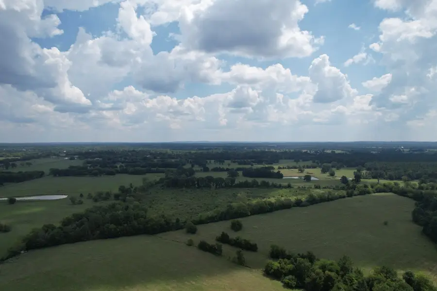 TBD W Fm 1662, Laneville, TX 75667 - Image #2