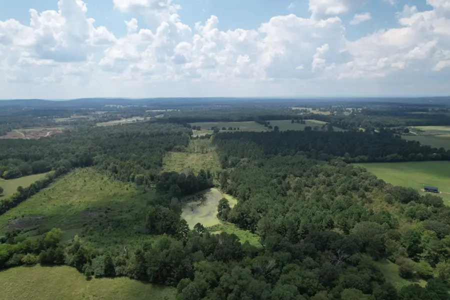 TBD W Fm 1662, Laneville, TX 75667 - Image #3