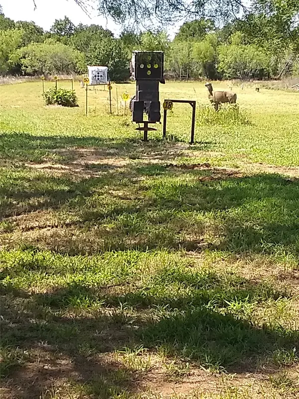 1800 County Road 479, Gorman, TX 76454