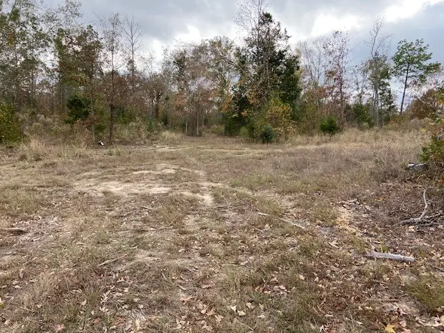 536 An County Road 1233, Palestine, TX 75801 - Image #2