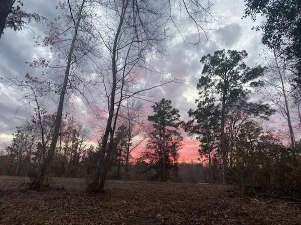 0 An County Rd 1233, Palestine, TX 75801