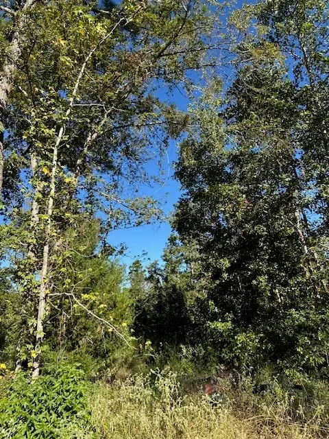 0 An County Rd 1233, Palestine, TX 75801 - Image #3