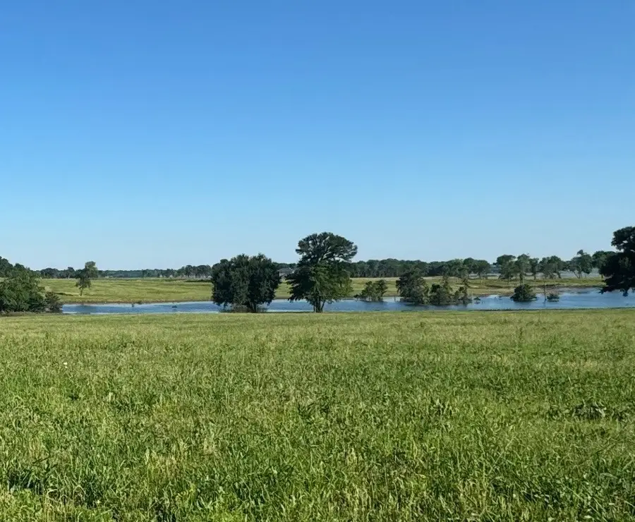 305 Sailview Court, Honey Grove, TX 75446 - Image #2