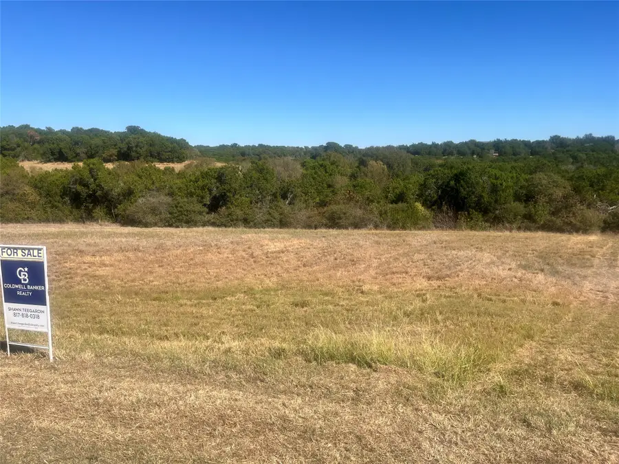 8405 Gullane Street, Cleburne, TX 76033 - #3