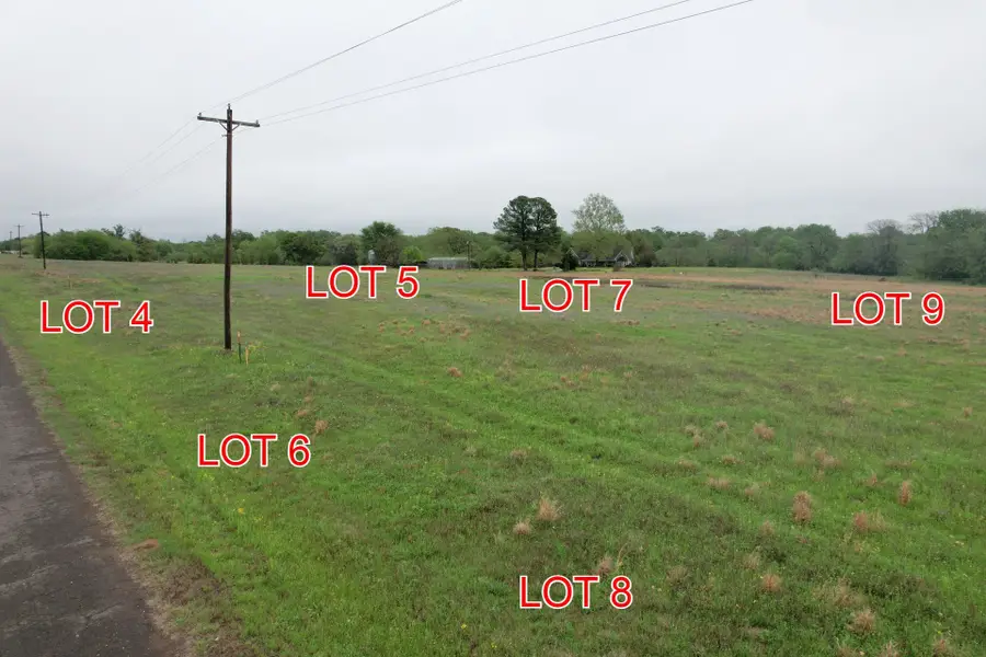 TBD Lot 8 County Road 4287, Winnsboro, TX 75494 - #3