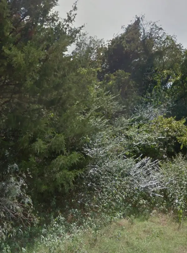 TBD W Brown Street, Ennis, TX 75119