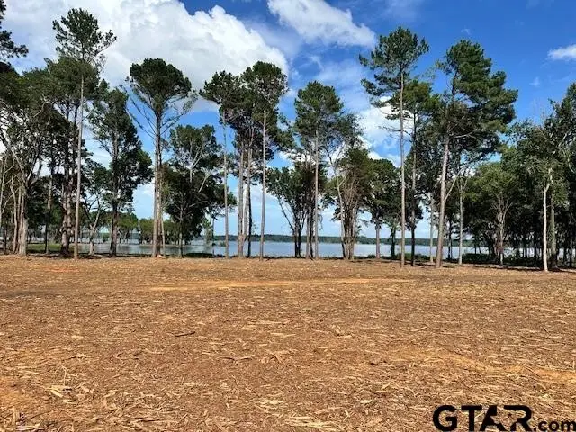 Lot 1 Oak River, Frankston, TX 75763 - Image #1