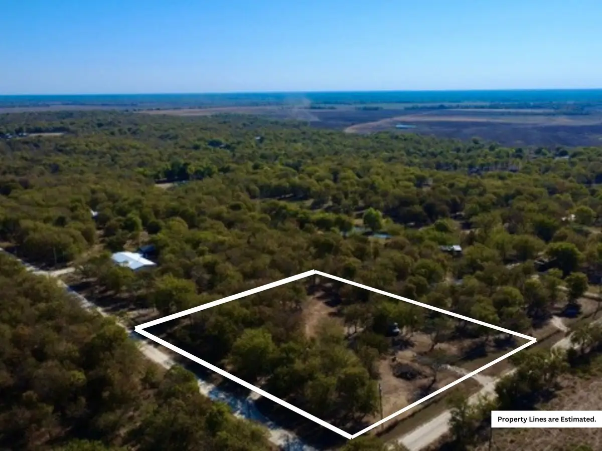 4902 County Road 2397, Wortham, TX 76693 - Image #1