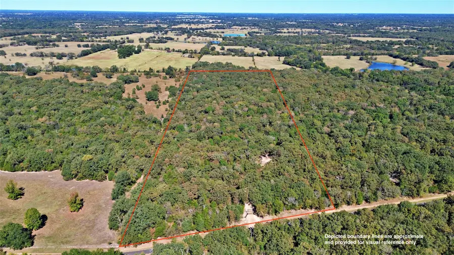 TBD 0 Cr 1792, Yantis, TX 75497 - Image #3