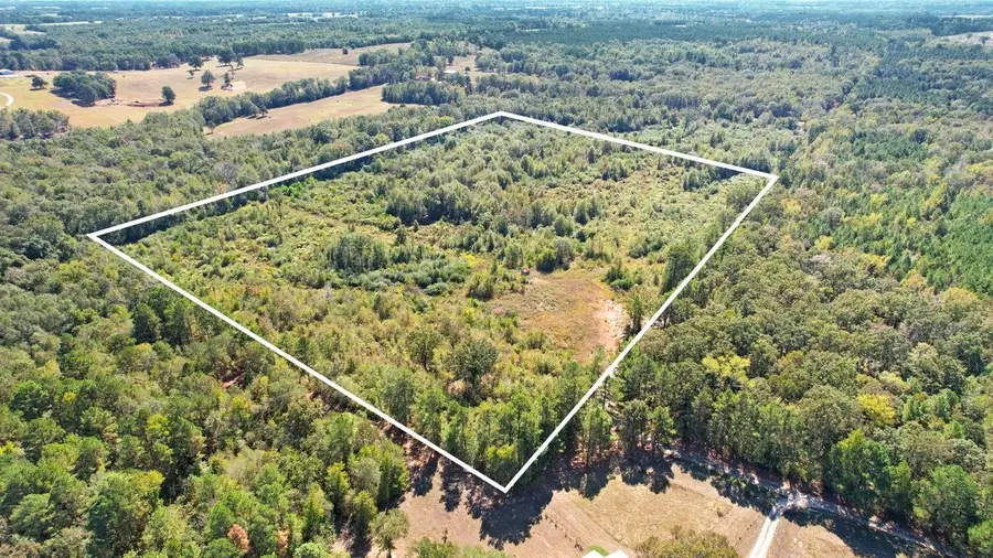 TBD Cr 3201 Whitmore Rd, Omaha, TX 75571 - Image #2