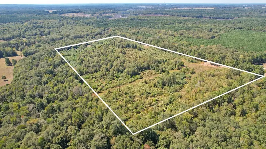 TBD Cr 3201 Whitmore Rd, Omaha, TX 75571 - Image #3