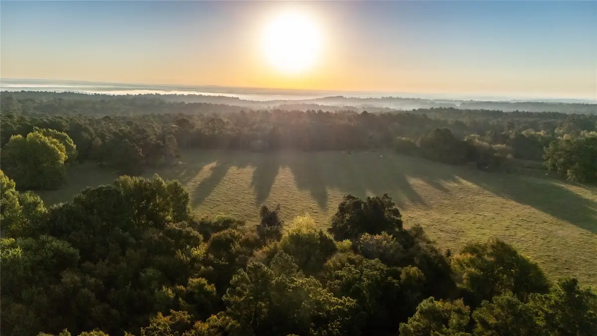 000 Fcr 241, Oakwood, TX 75855 - Image #1