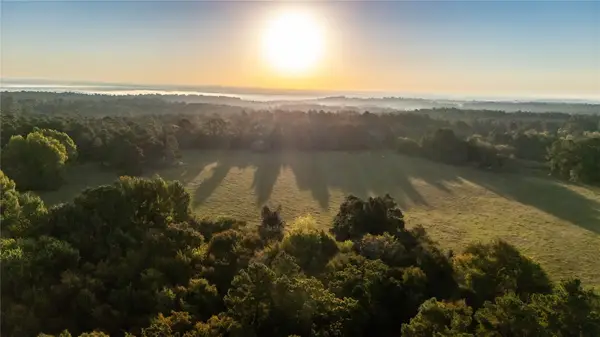 000 Fcr 241, Oakwood, TX 75855