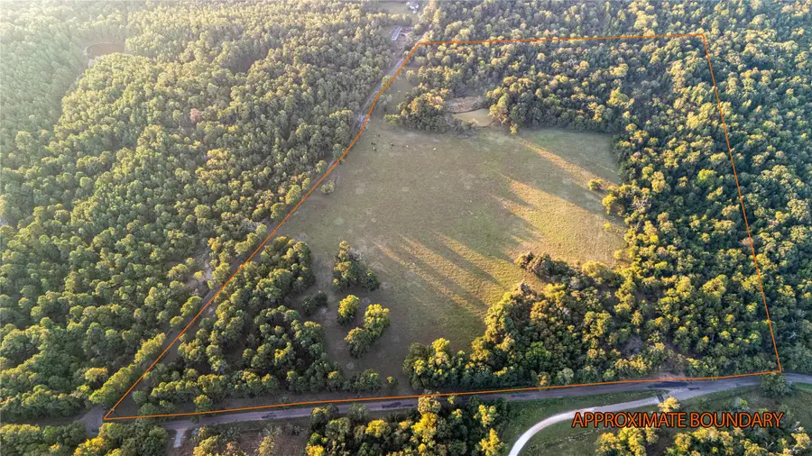 000 Fcr 241, Oakwood, TX 75855 - Image #2