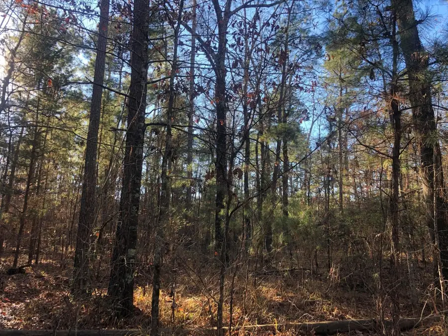 0 Highway 160, Plain Dealing, LA 71064 - Image #3