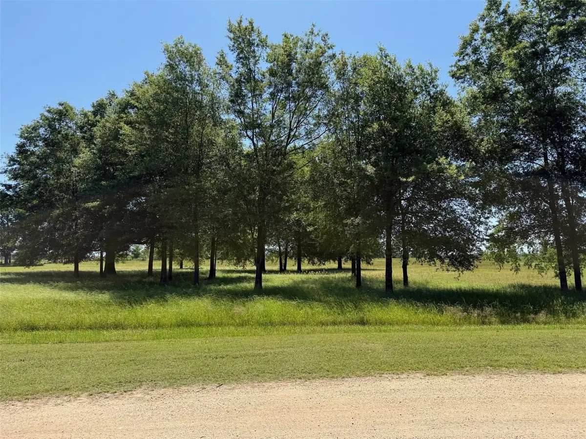 TBD 1 Pr 44005, Blossom, TX 75416 - Image #1