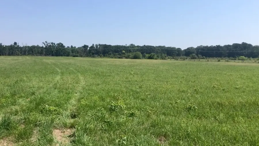 560 W Fm-71, Mount Pleasant, TX 75455 - Image #3