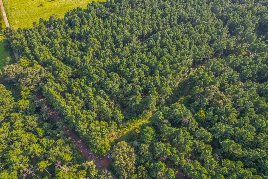 0 Cr 4224, Frankston, TX 75763 - Image #2