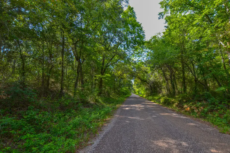 0 Cr 4224, Frankston, TX 75763 - Image #3