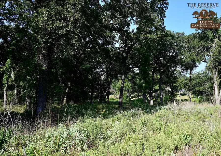 Lot 42 Colt Road, Springtown, TX 76082 - Image #2