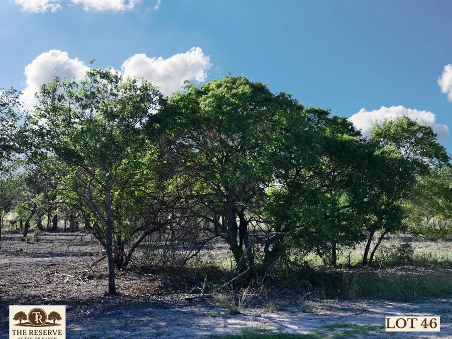 Lot 46 Colt Road, Springtown, TX 76082 - Image #2