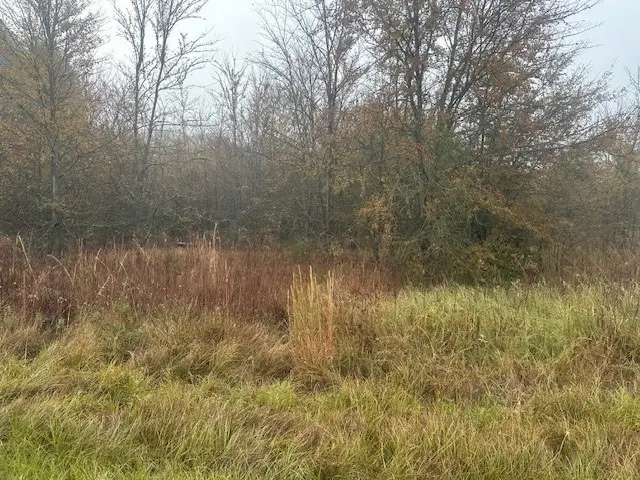 527 Tahiti Lane, Tool, TX 75143 - Image #1