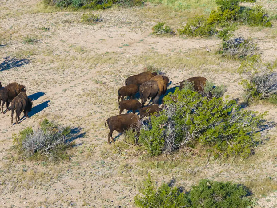 000 Fm 2400 And 349, Sanderson, TX 79781 - Image #2